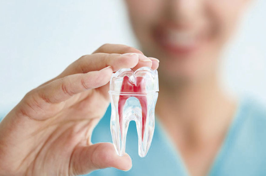 endodoncia las tablas